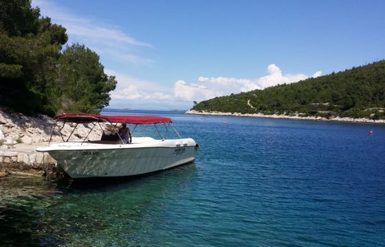 Enzo 35