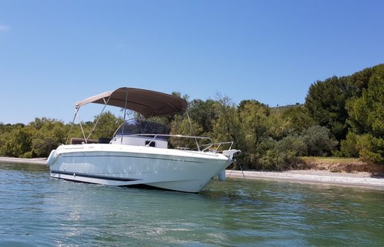 B2marine Cap ferret