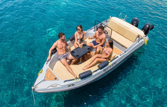 Nireus 490 optima
