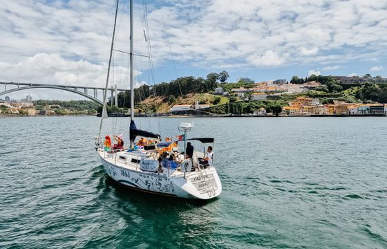 Jeanneau Sun rise 35