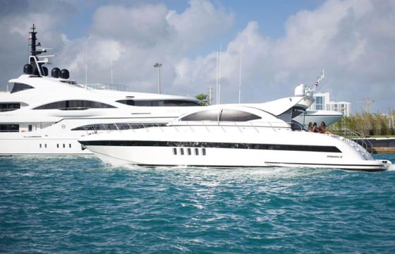 Mangusta 72