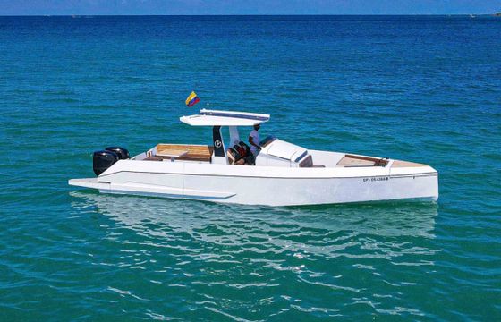 Custom Made Galea