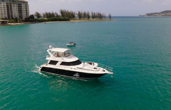Sea Ray 550 Sedan Bridge