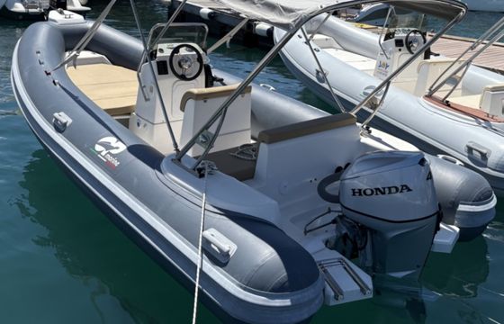 Predator 599