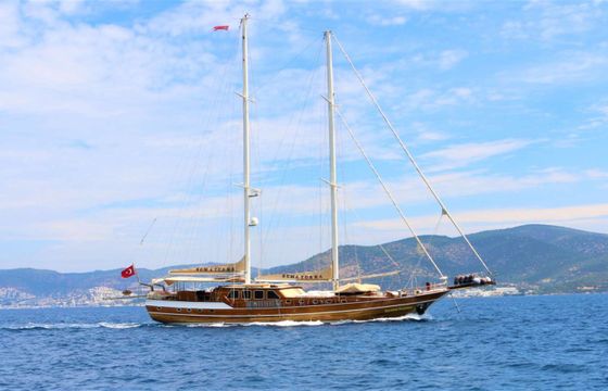 Custom built SEMA TUANA
