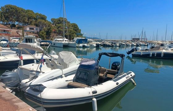 Brig Eagle 650
