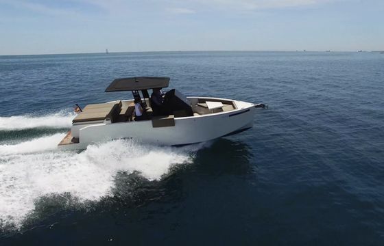 De Antonio D29