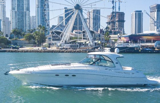 Sea Ray 54