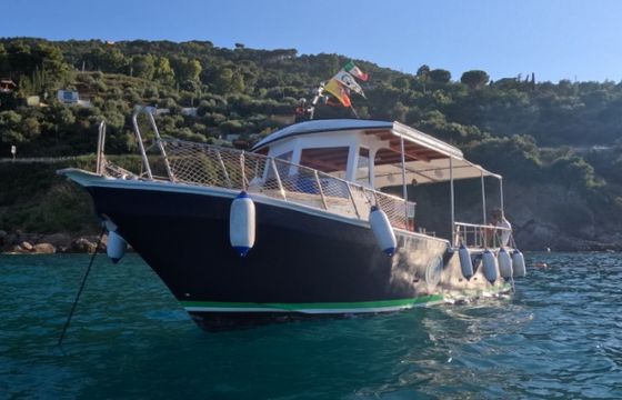 Custom Barca a motore