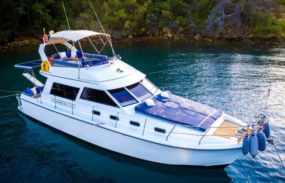 Princess 42