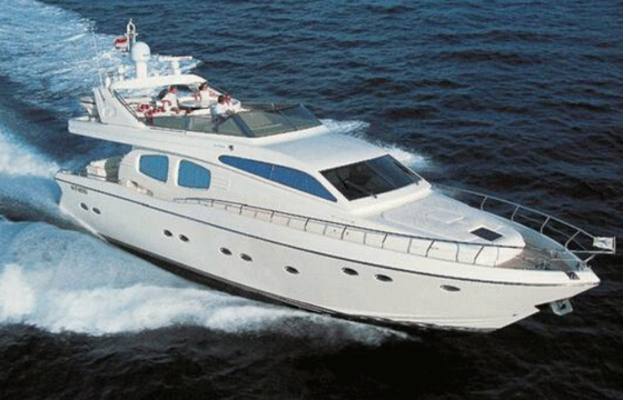 Technema 65