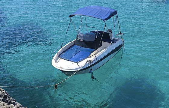 Remus 450 open