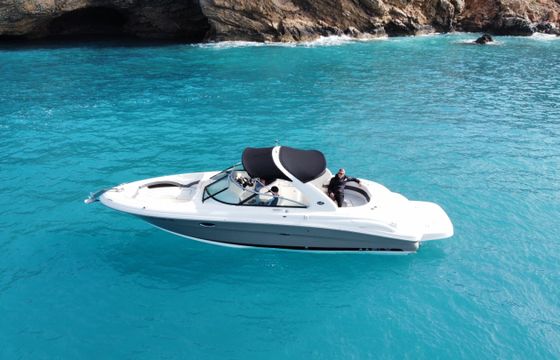 Sea Ray 295 Bow Rider