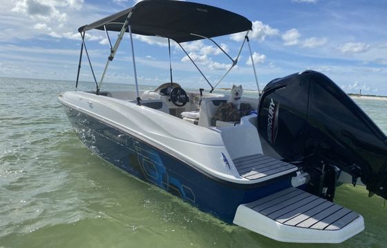 Bayliner Element