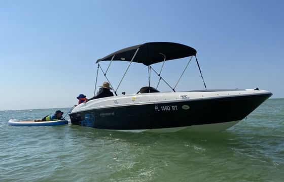 Bayliner Element