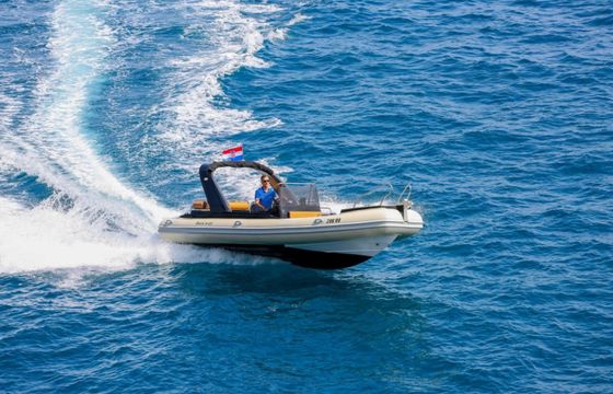 Grginić Shark 23