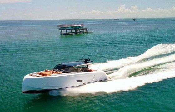Vanquish 58 T-Top