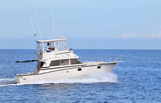 Cabo 35