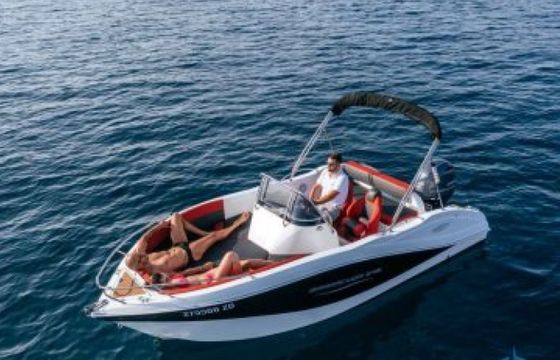 Barracuda 545