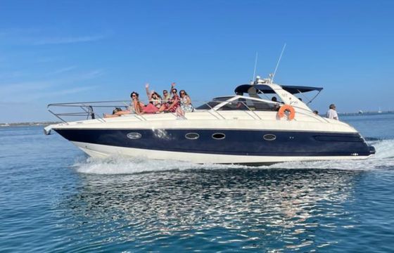 Princess V40
