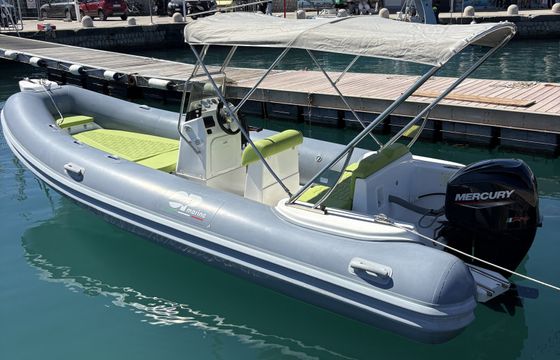 Predator 599