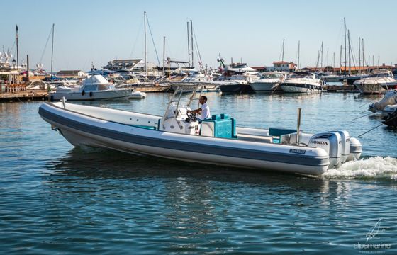 Sea Water Phantom 300