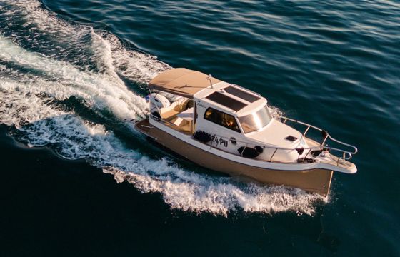 Leidi 660