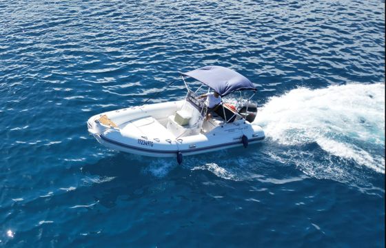 Nuova Jolly King 600