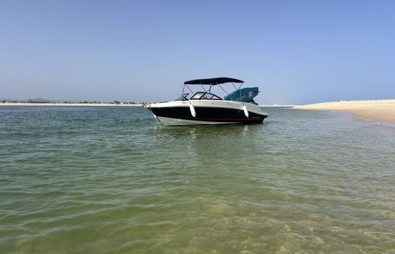 Bayliner VR6 OB