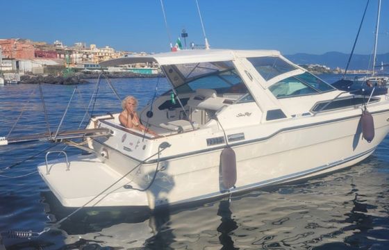 Sea Ray 300 Sundancer