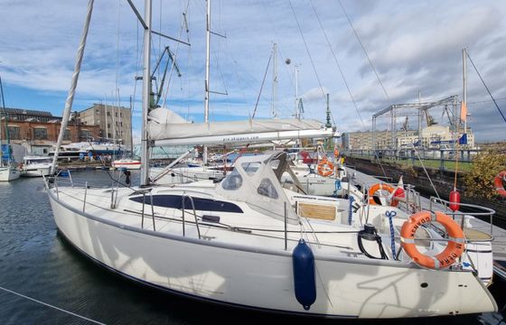 Delphia 40.3