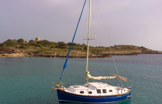 Myabca Delfin 28