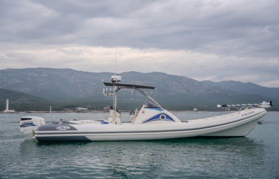 Nuova Jolly Prince 35