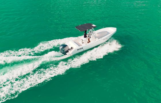 Forboat Forbin 23