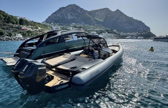 Panamera PY 100