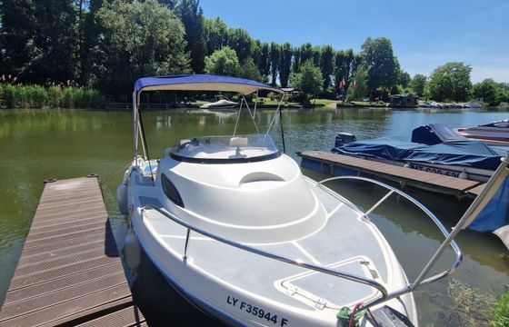 Quicksilver 520 Flamingo