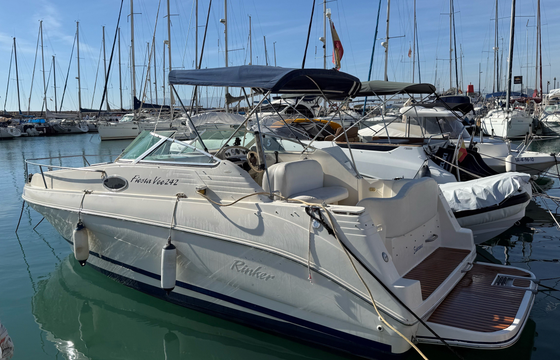 Rinker 25