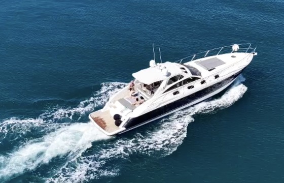 Princess V55