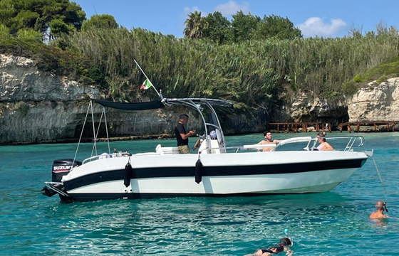 Dolphin 25