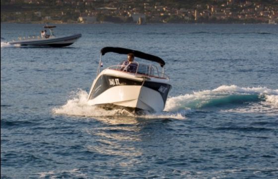 Barracuda 545