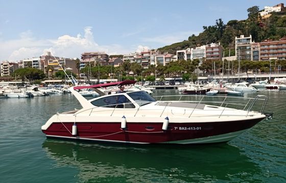 Gallart 11 Europa