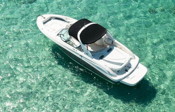 Sea Ray 295 SLX