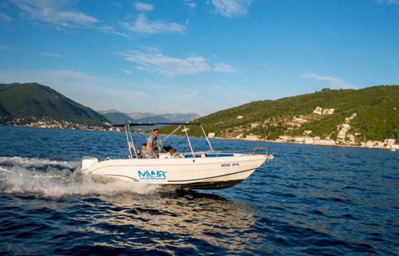 Gaia 220