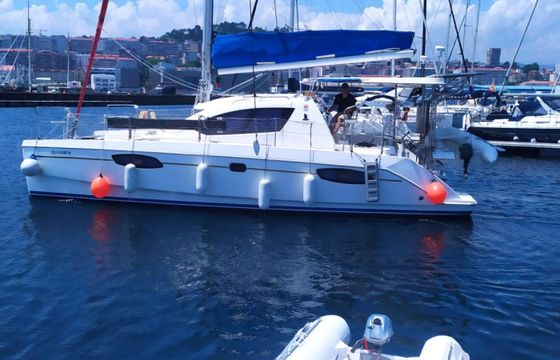 Robertson and Caine Leopard 38