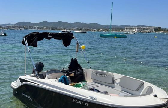 Bayliner 150 Element