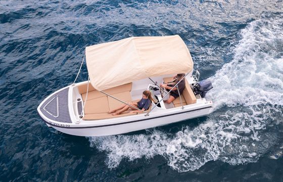 Valory V495