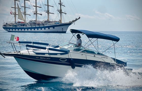 Celebrity 245 Sport Cruiser