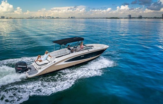 Sea Ray SDX 270