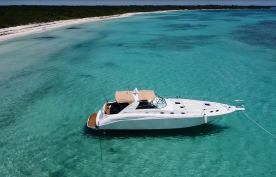 Sea Ray 450 Sundancer