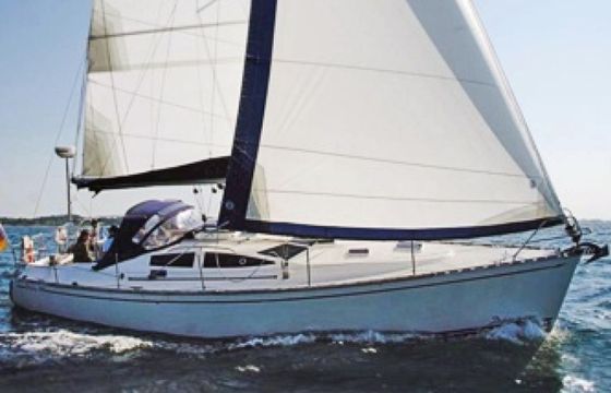 Delphia 40.4